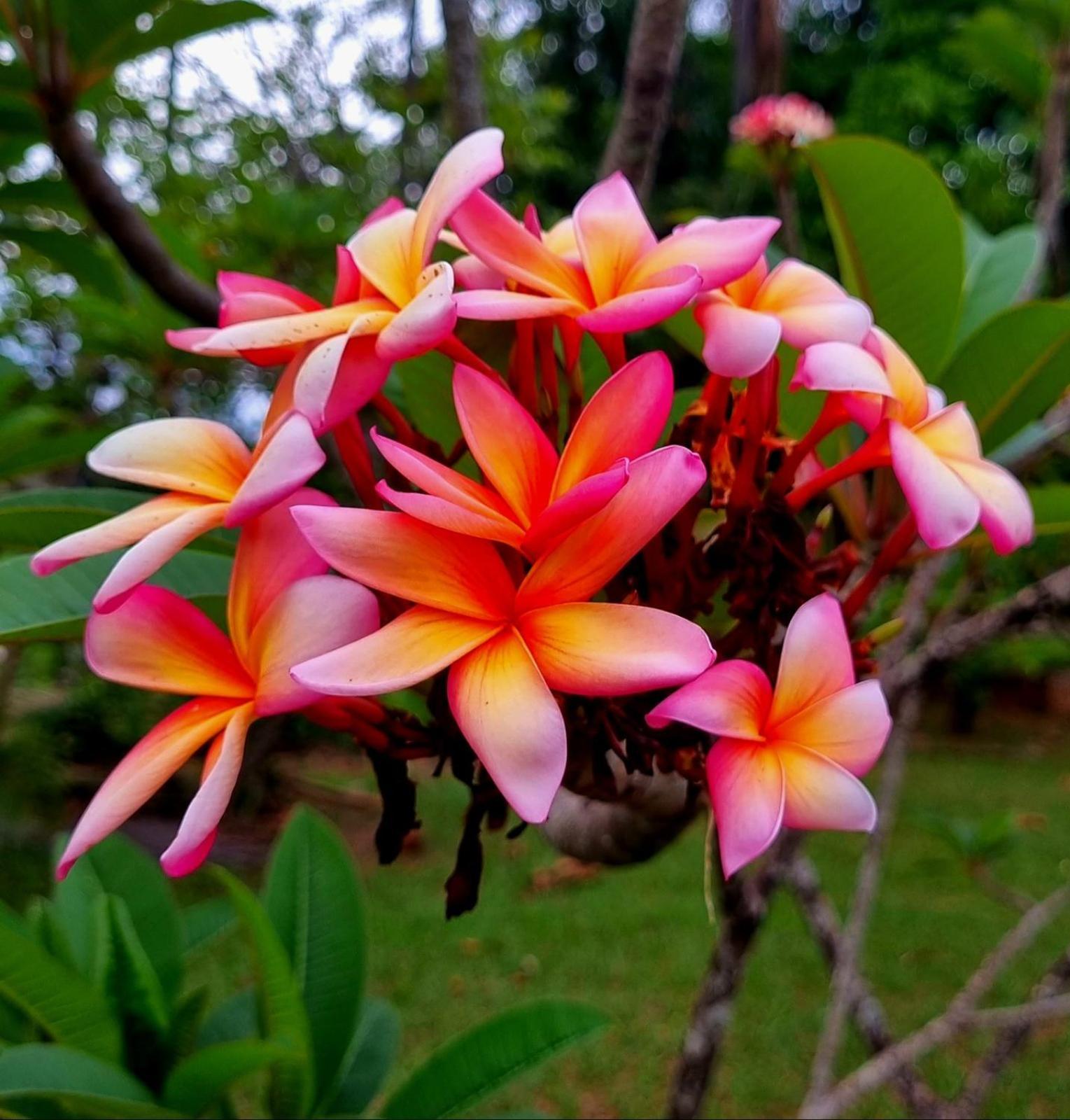 Appartamento Amanduarte Brasilia Esterno foto